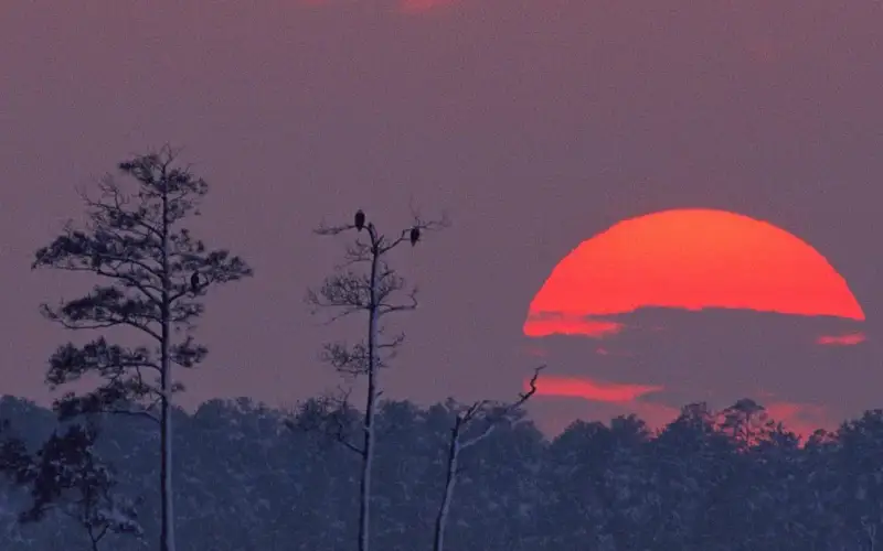 Blackwater National Wildlife Refuge
