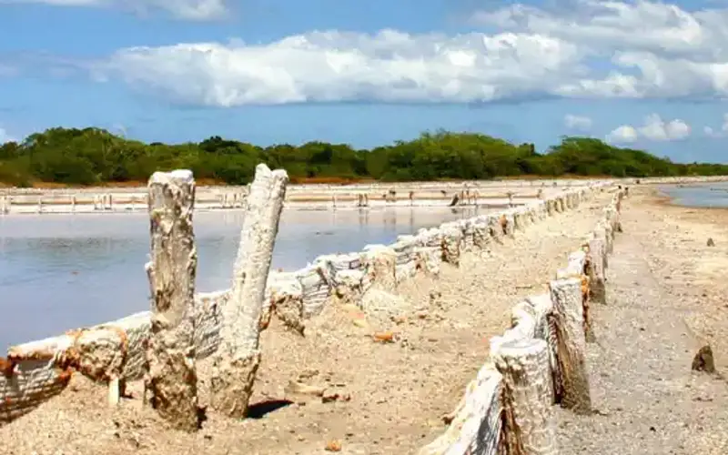 Cabo Rojo National Wildlife Refuge