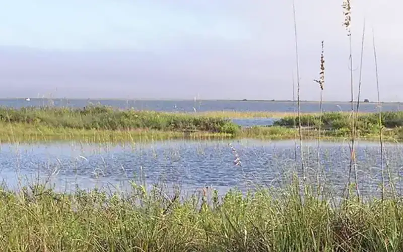 Cape Romain National Wildlife Refuge