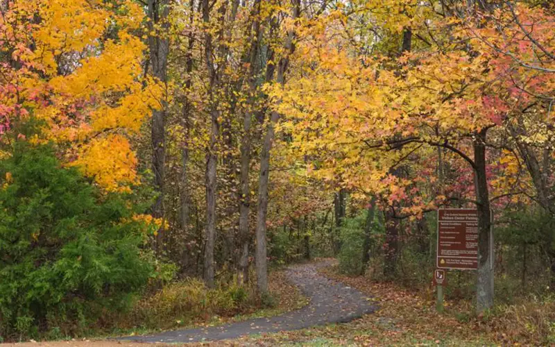 Autumn colors at Crab Orchard