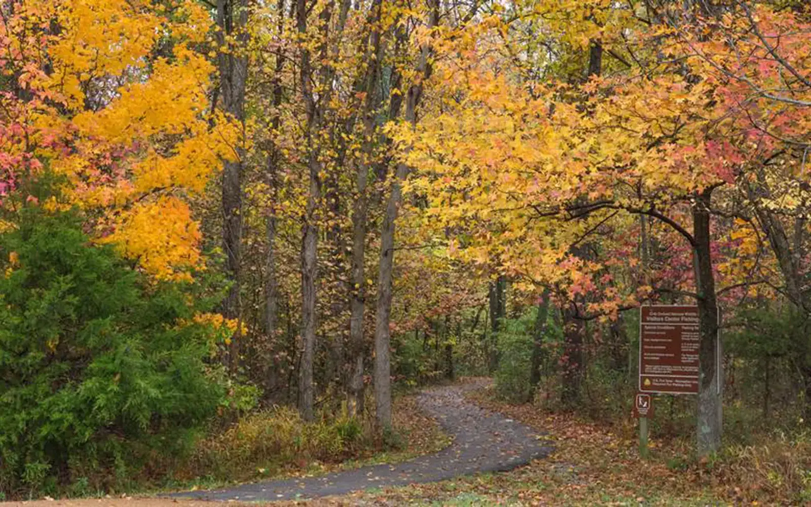 Autumn colors at Crab Orchard
