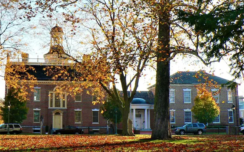 The Dover Green