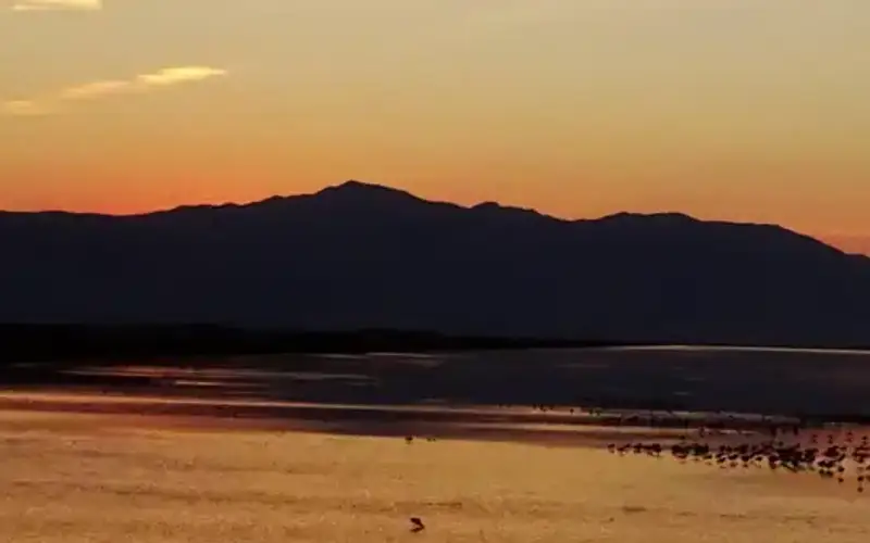 Bear River Migratory Bird Refuge