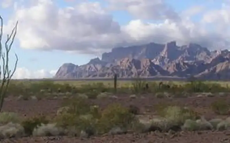 Kofa National Wildlife Refuge