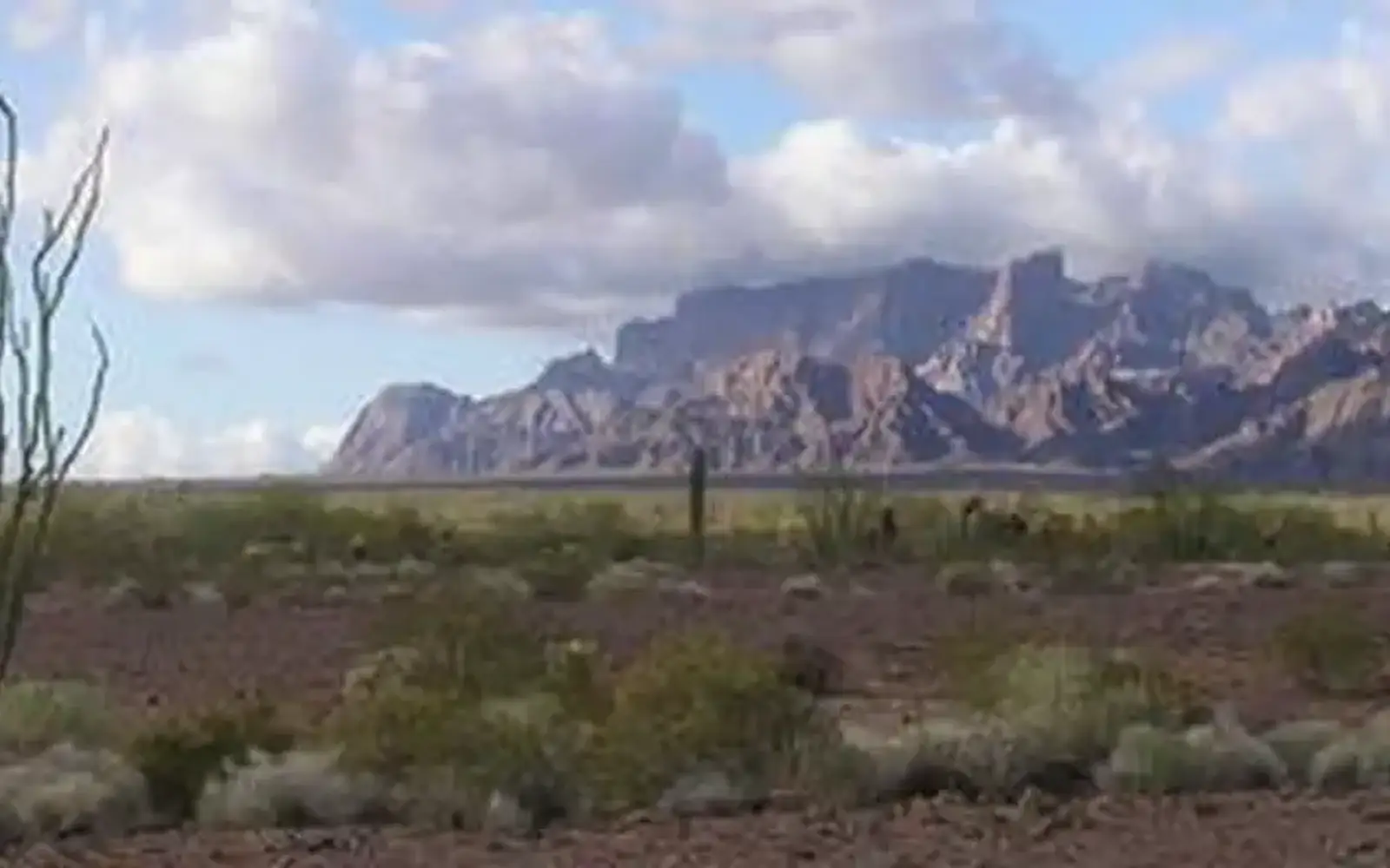 Kofa National Wildlife Refuge