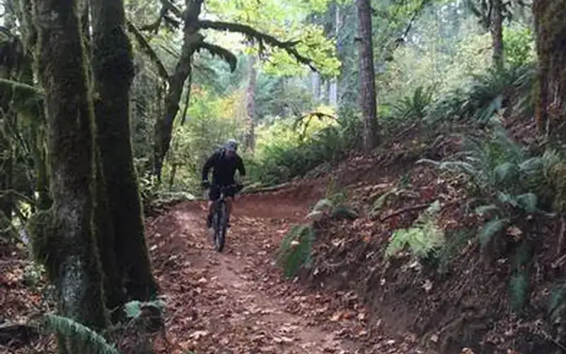 Trail