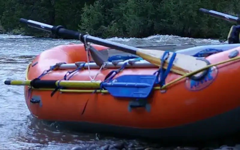 Bruneau River