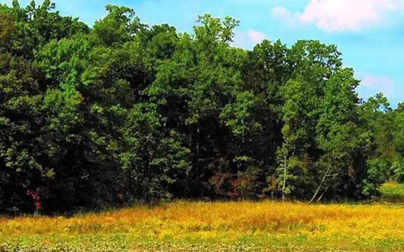 Elizabeth Hartwell Mason Neck National Wildlife Refuge