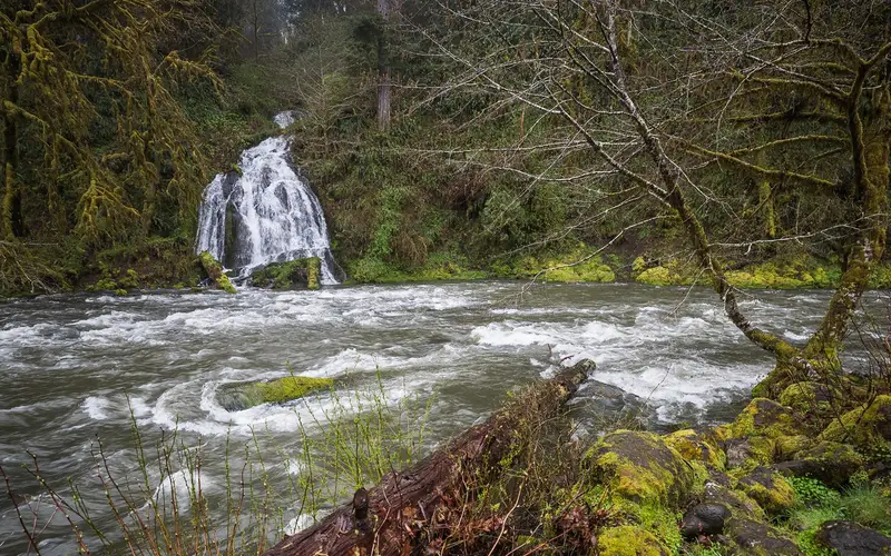 Springtime view of Alder Glen Falls and the Nestucca Wild and Scenic River at the Alder Glen Recreation Site