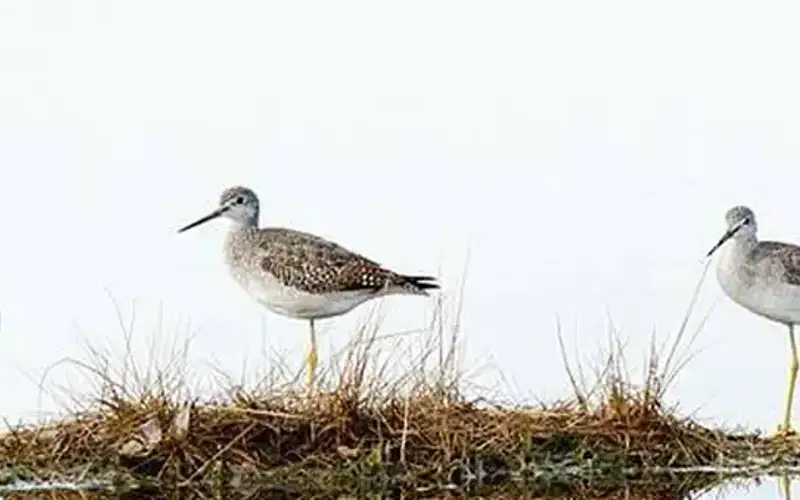 Parker River National Wildlife Refuge