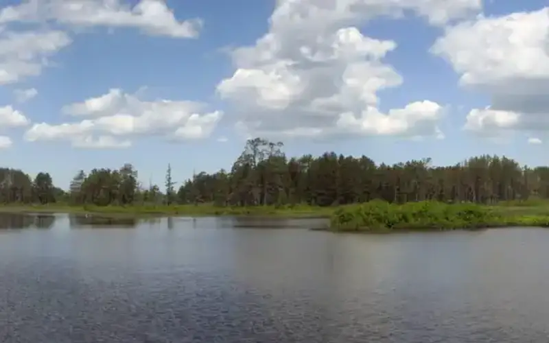 Seney National Wildlife Refuge