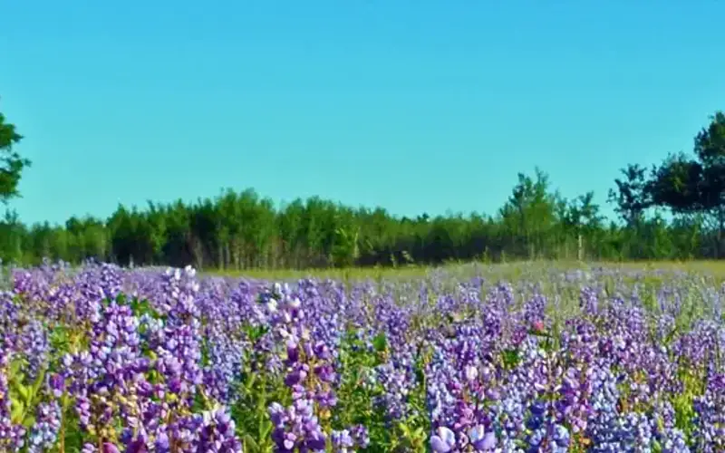 Sherburne National Wildlife Refuge