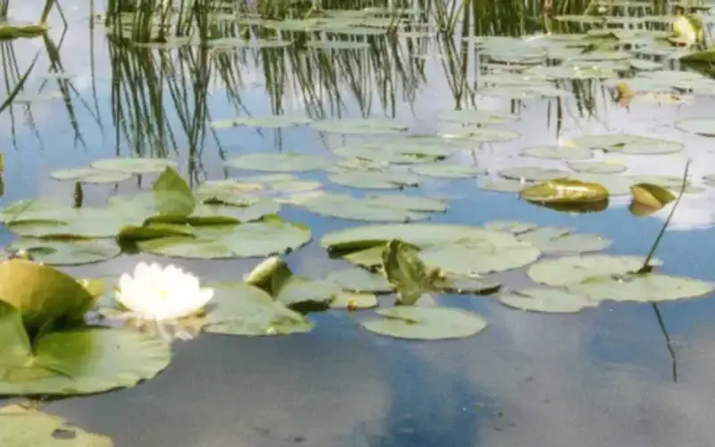 Trempealeau National Wildlife Refuge