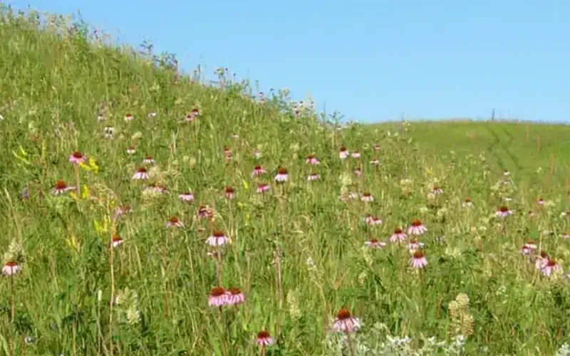 Upper Souris National Wildlife Refuge