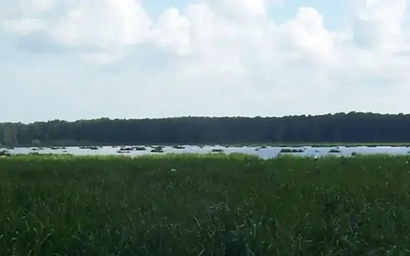 Wapanocca National Wildlife Refuge