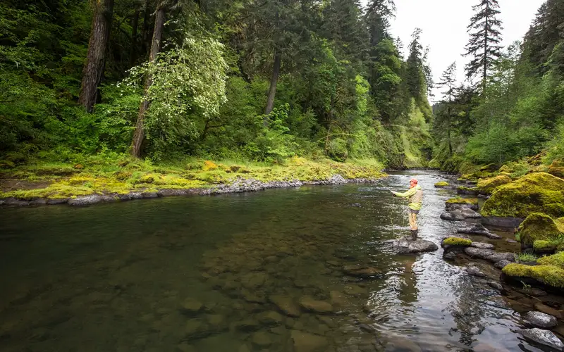 Angler in the Molalla River