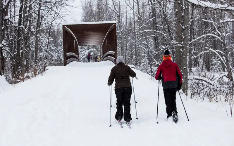 Winter skiing on Campbell Tract