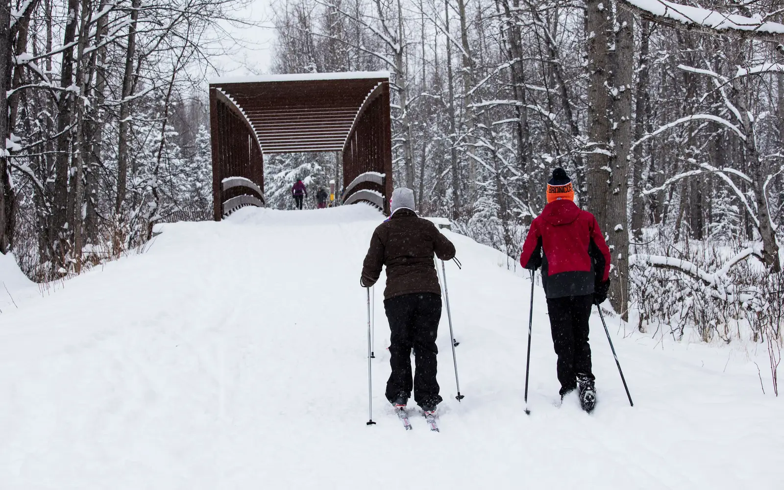 Winter skiing on Campbell Tract