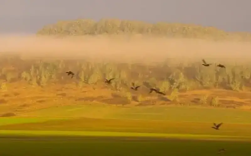 William L. Finley National Wildlife Refuge, OR