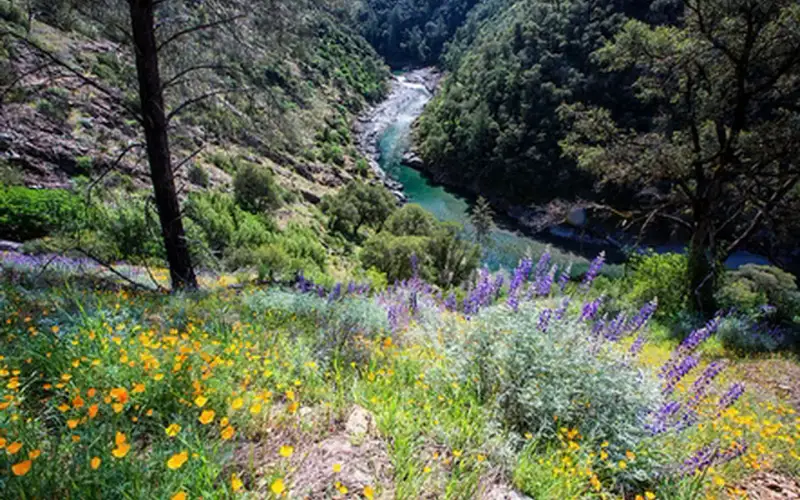 North Fork American River