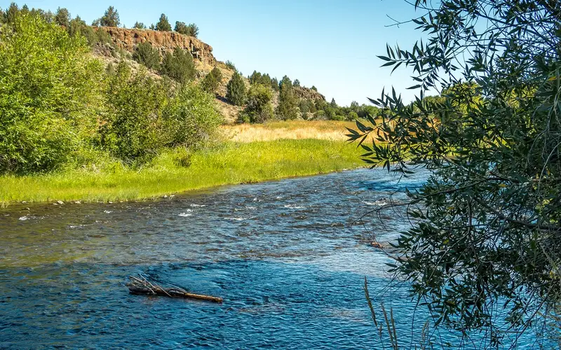 Donner und Blitzen Wild and Scenic River