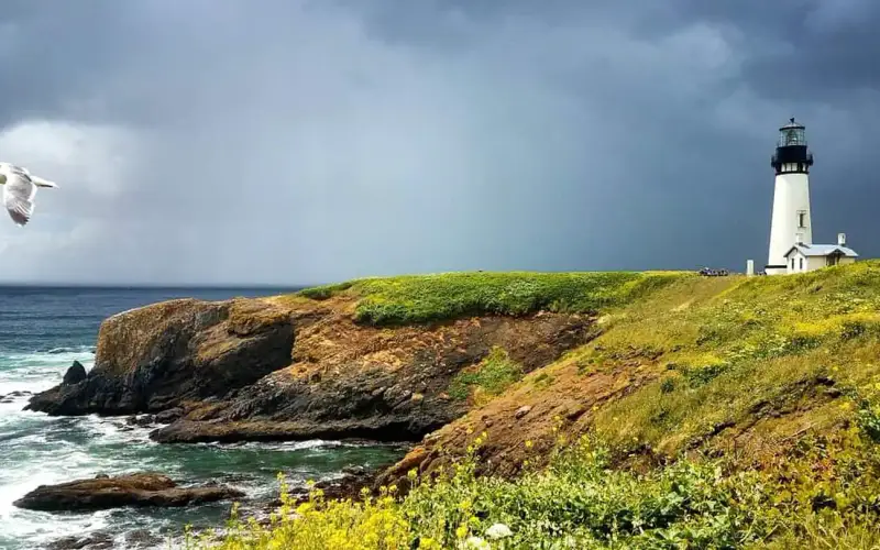 A bird flies in front of a lighthouse during a storm.