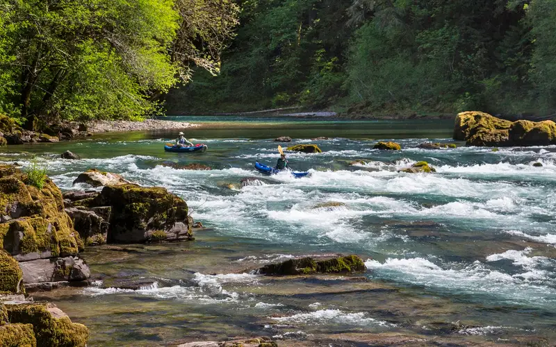 Kayakers on the North Umpqua Wild and Scenic River
