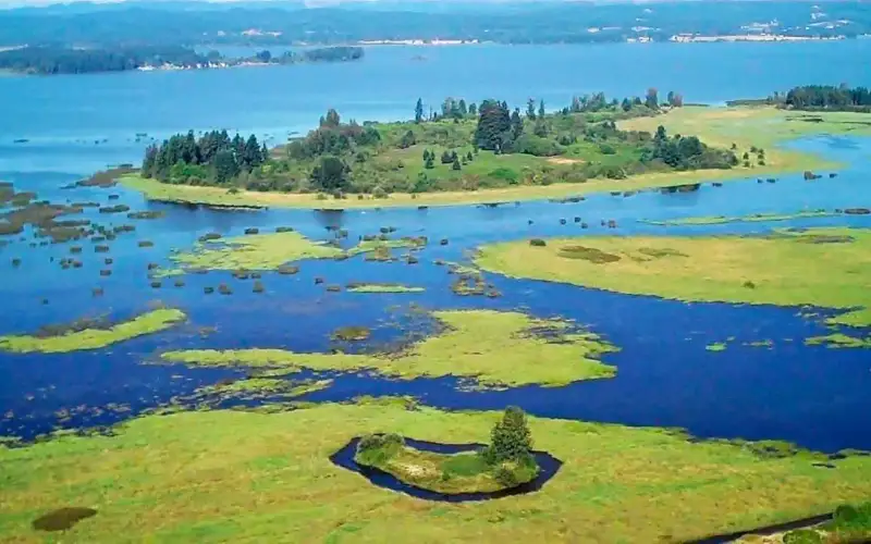 Aerial view of Fern Ridge Lake