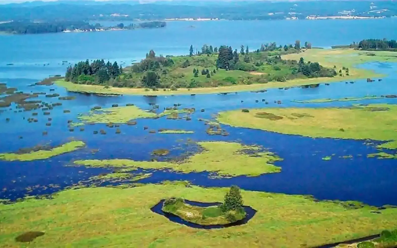 Aerial view of Fern Ridge Lake
