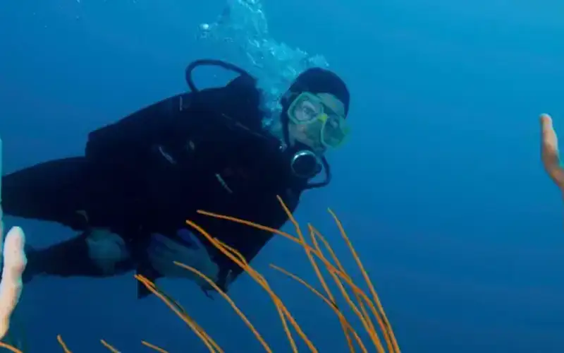 Gray's Reef National Marine Sanctuary