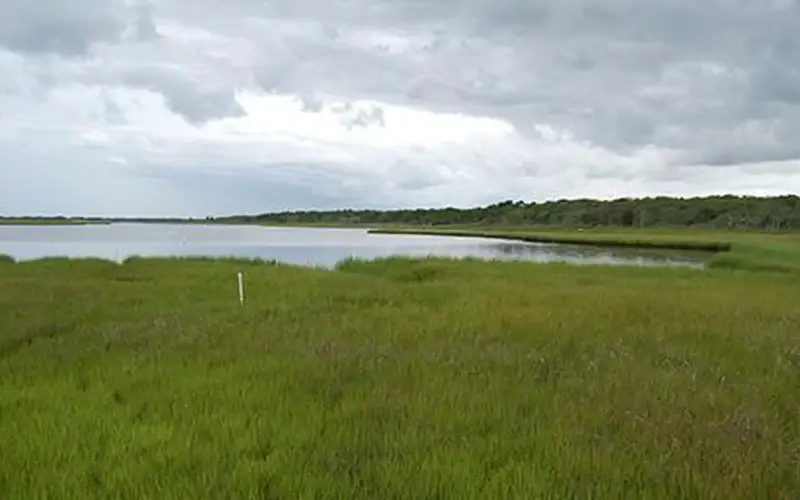 View of marsh at Waquoit Bay National Estuarine Research Reserve