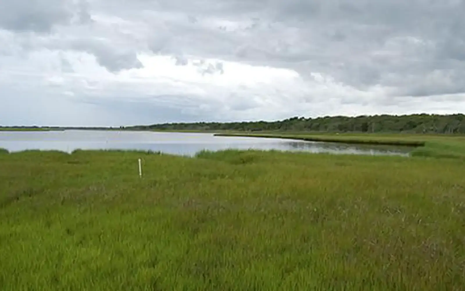 View of marsh at Waquoit Bay National Estuarine Research Reserve