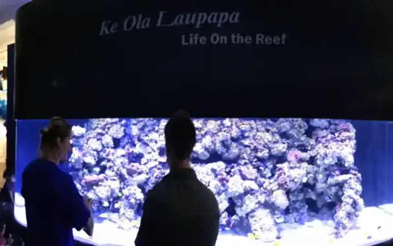 Mokupāpapa Discovery Center for Papahānaumokuākea Marine National Monument