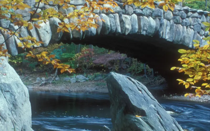 Stone bridge and fall leaves