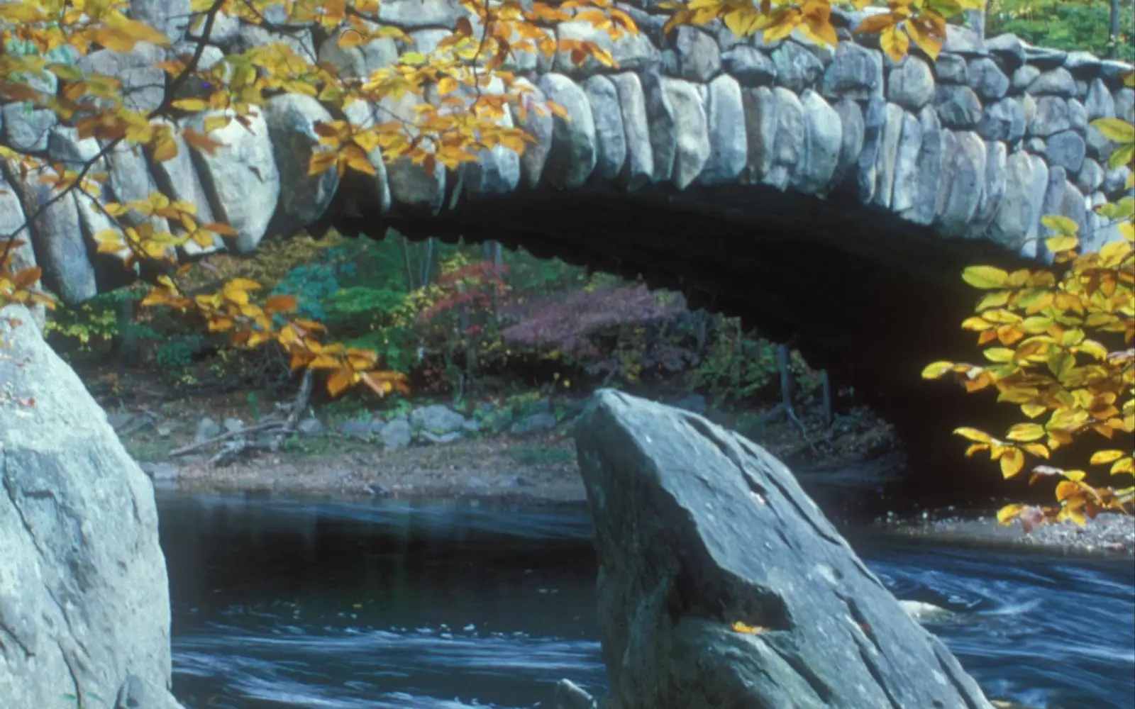 Stone bridge and fall leaves
