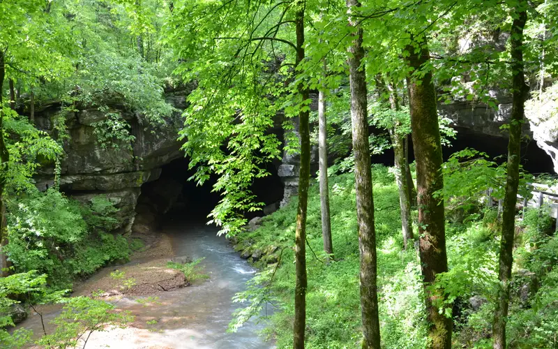 Russell Cave in Spring