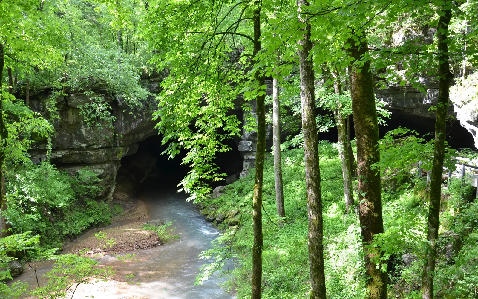 Russell Cave in Spring