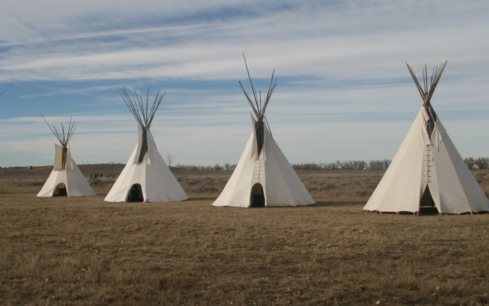 Four white Indian lodges on a grassy plain.