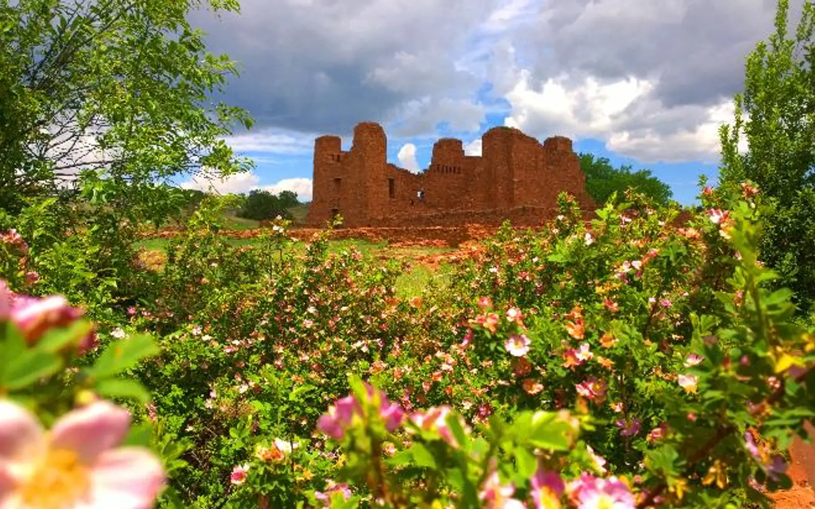 Pink flowers and green foliage frame the roofless remains of a stone mission.