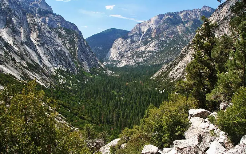 A deep canyon with a forested floor and steep granite cliffs
