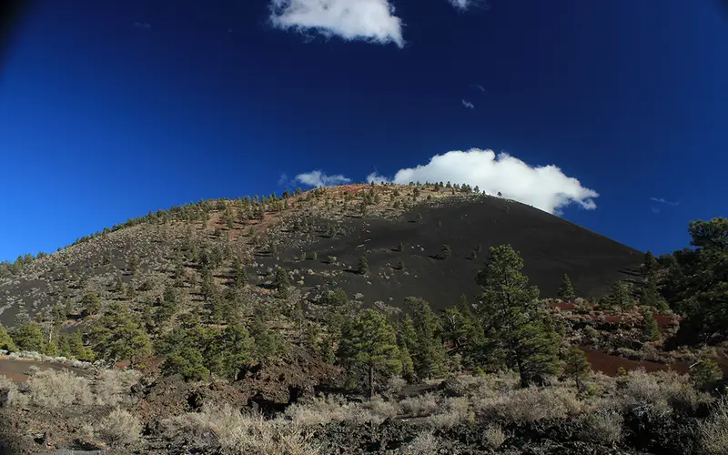 a cinder cone volcano and ponderosa pine trees