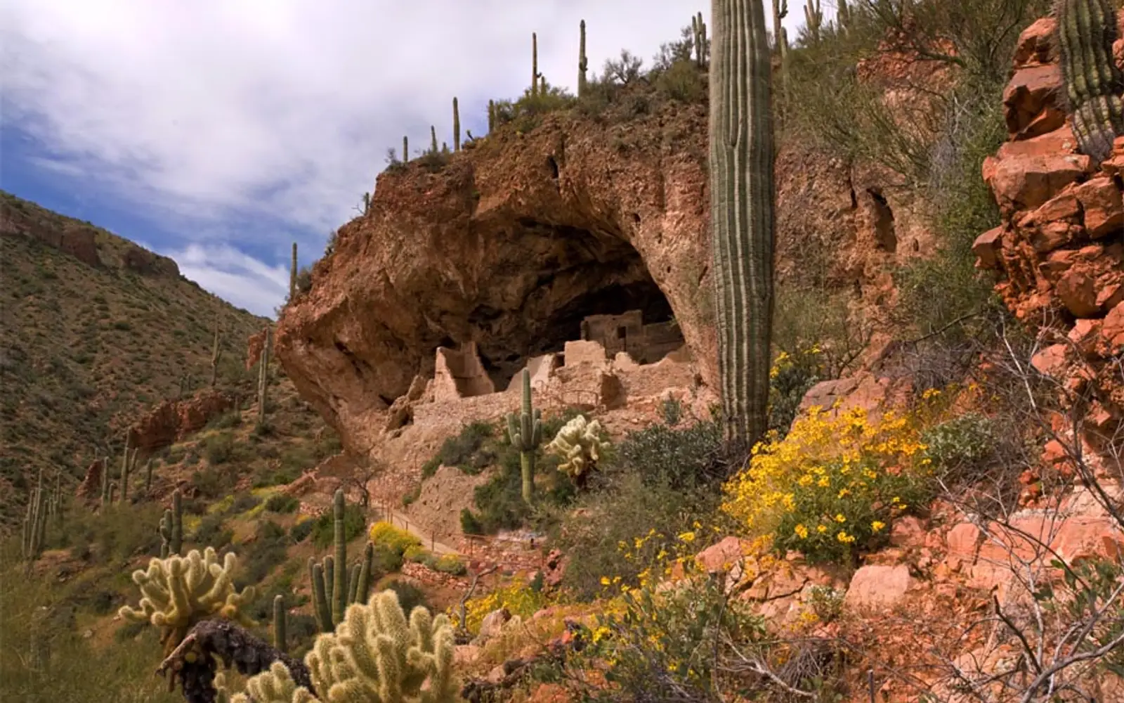 cliff dwelling in the spring with desert plants and wildflowers.