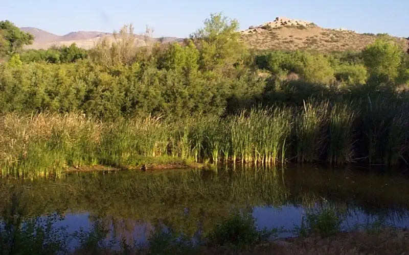 A marsh with open water, cattails, and a masonry dwelling beyond.