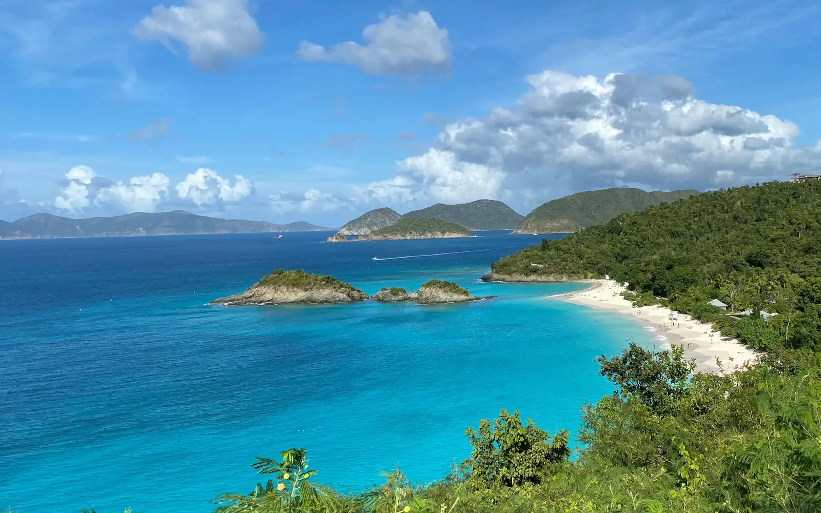 Turquoise water laps white sandy shore fringed with lush green vegetation.