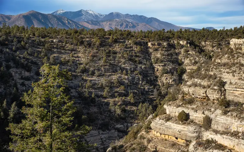 Walnut Canyon's cliff dwellings are illuminated by the afternoon sun.