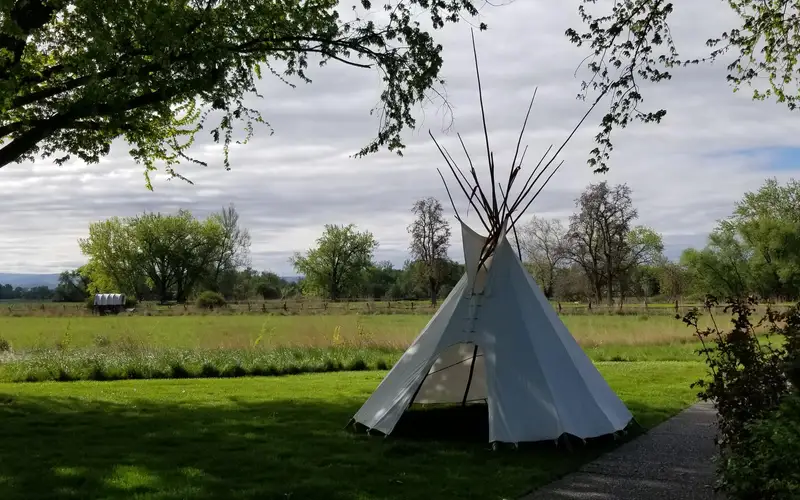 A tipi sits beneath a tree near a walking trail