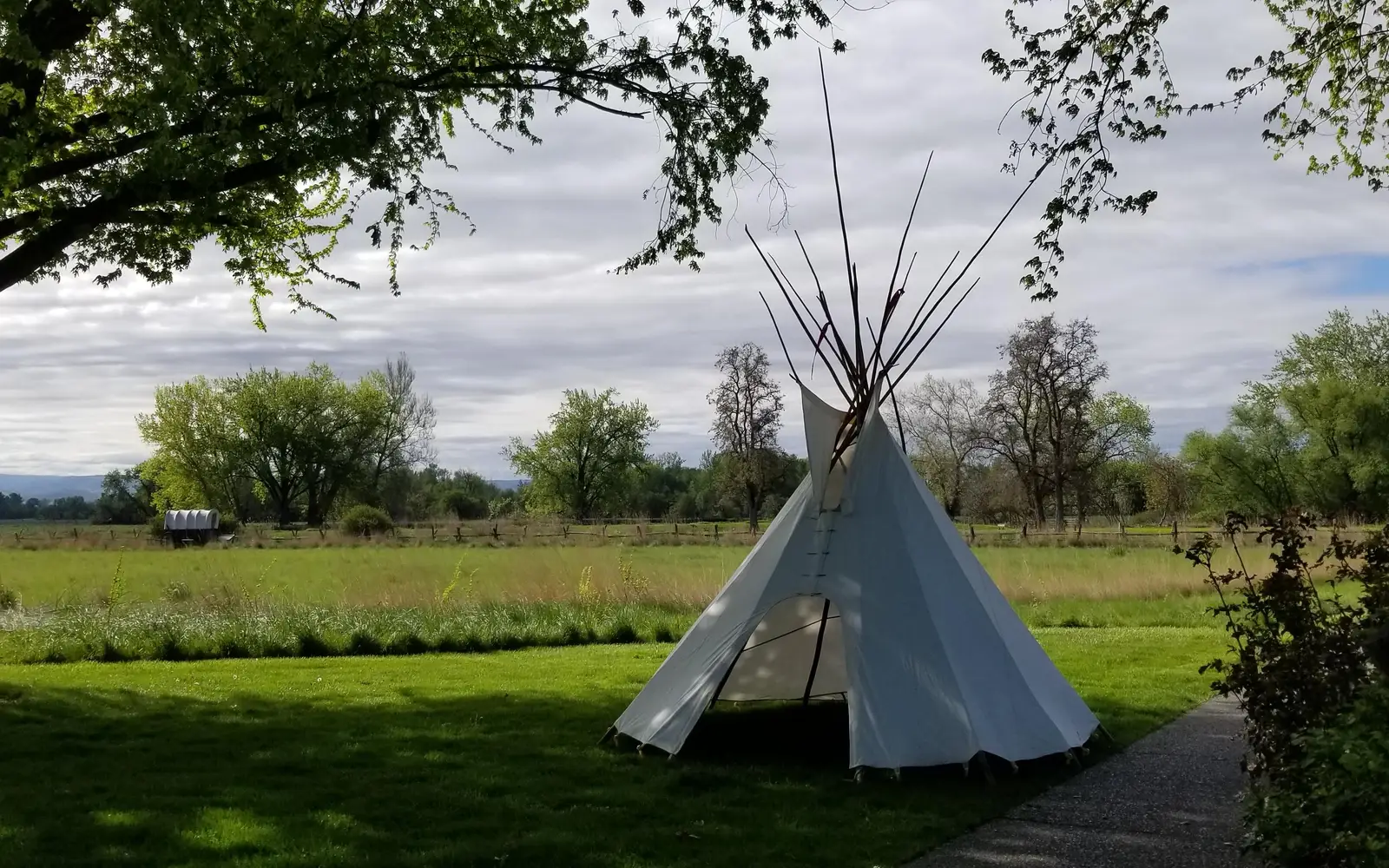 A tipi sits beneath a tree near a walking trail